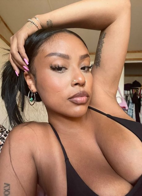 Dashofkitty perfect star galleries