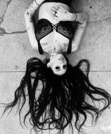 Layla Shapiro star xxx img