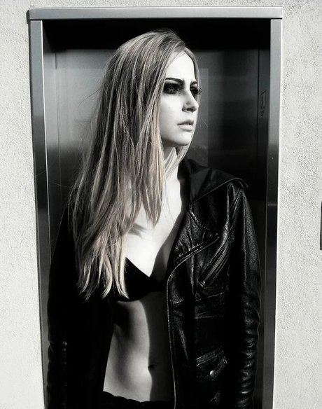 Stevie Wynne Levine art star picture