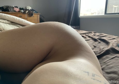 tacowhore art star gallery