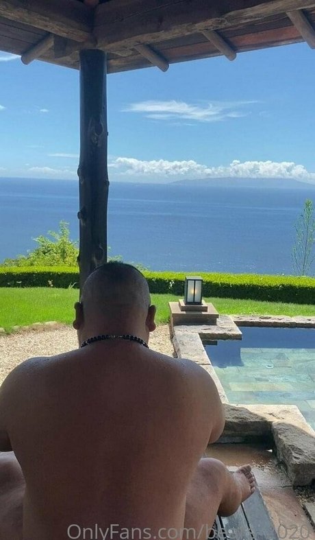 bears 2020 model art photos