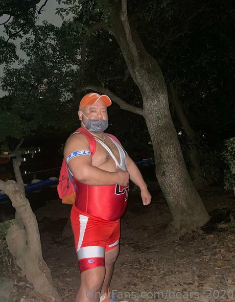 bears 2020 pornstar art img