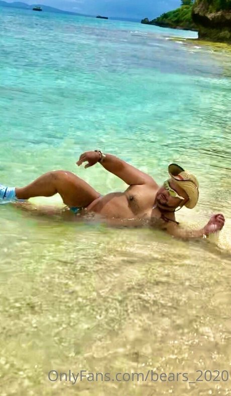 bears 2020 star high quality pic