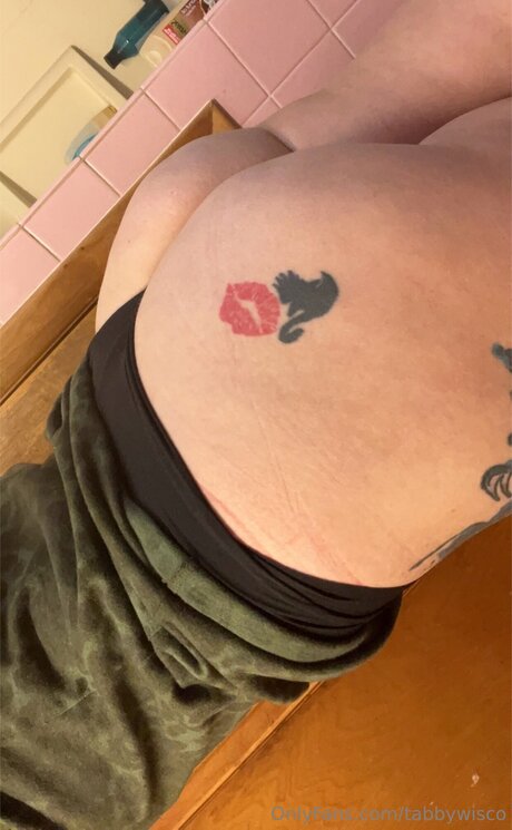 Tabbywisco pornstar art archive