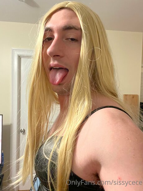 Sissycece star archive