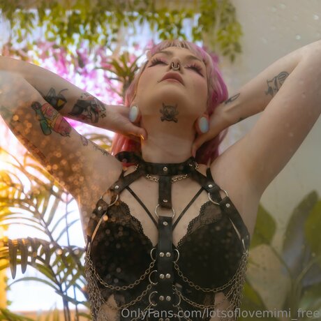 Lotsoflovemimi Free free pornstar image