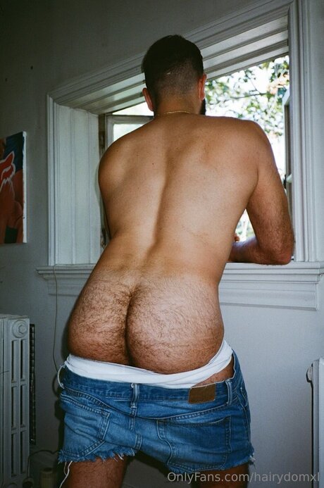 Hairydomxl art model image