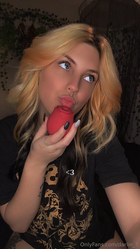 Darlin 7 star high quality pic