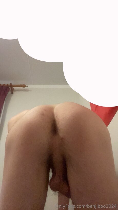 Benjiboo2024 perfect model img