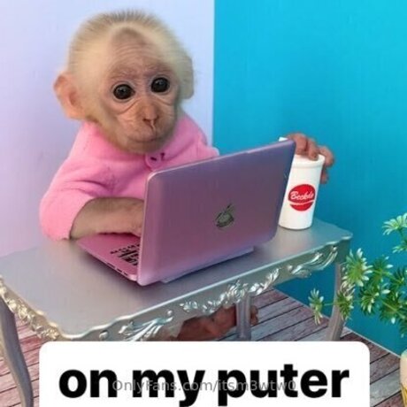 Itsm3wtw0 pornstar sexy image