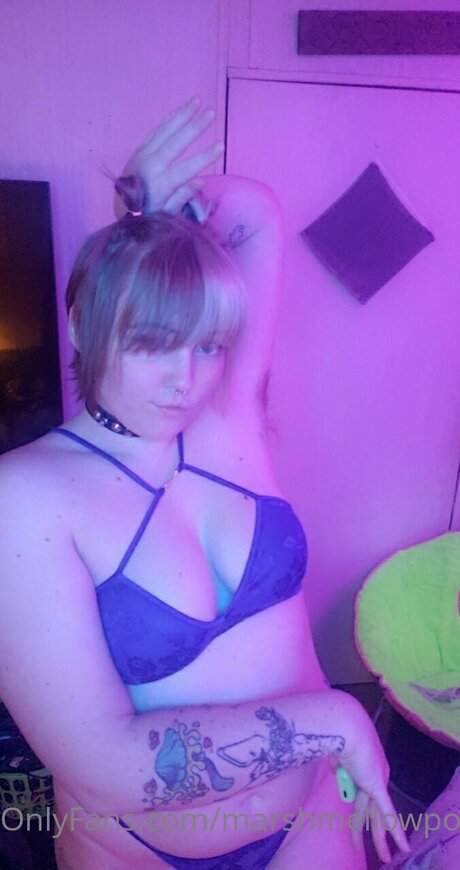 Marshmellowponi best model gallery