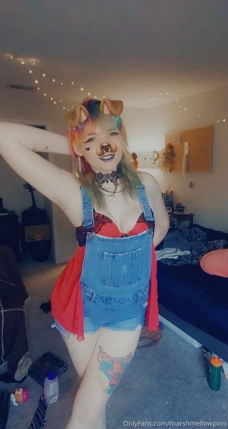 Marshmellowponi star beautiful images