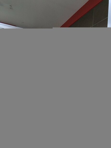 Rfk Raw pornstar xxx photo