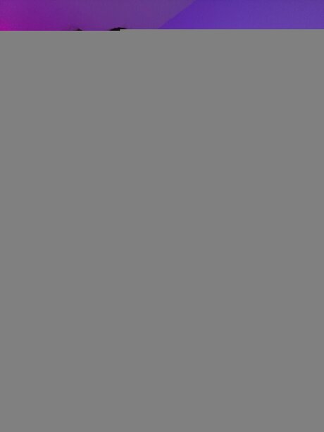 U246366830 pornographic actress gallery