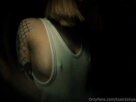 Toxicsonya nice pornstar gallery