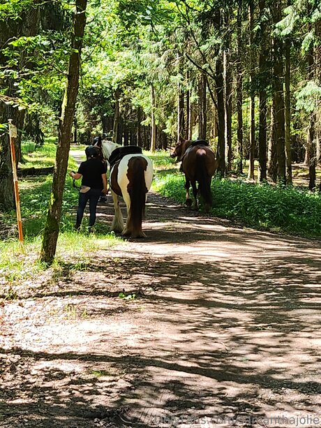 Samanthajolie model porn pics