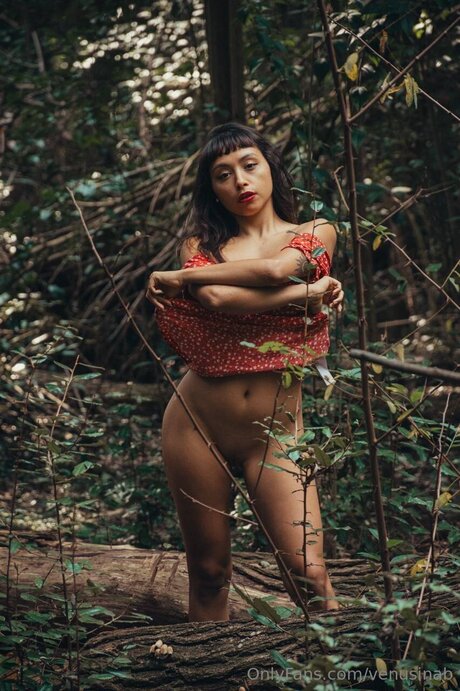 Venusinab hot model galleries