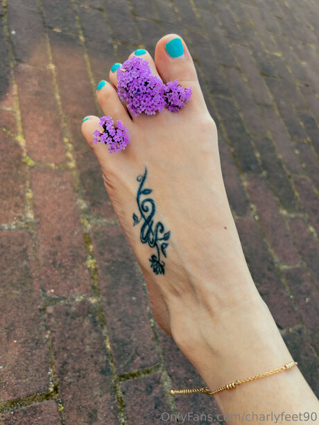 Charlyfeet90 porn actress galleries