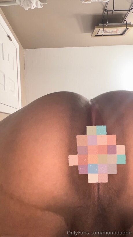 Montidadon high quality actress galleries