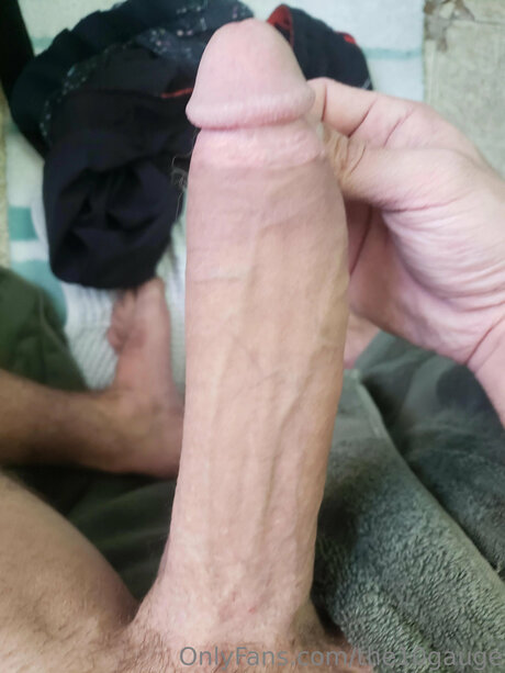 The10gauge pornstar nudes galleries