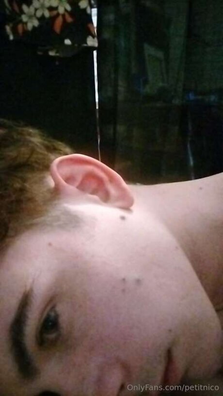 Petitnico model top pictures