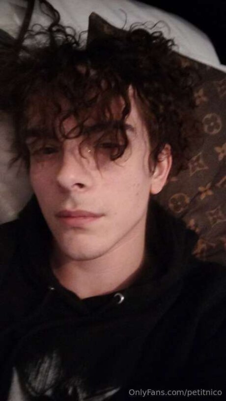 Petitnico star nice pic