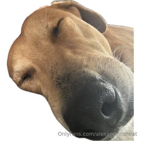 Alexanderisheat pornographic star image