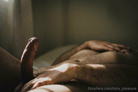 Tony Pleasure free actress gallery