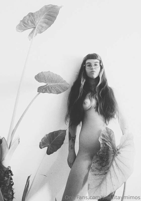 Siestitaymimos sex pornstar archive