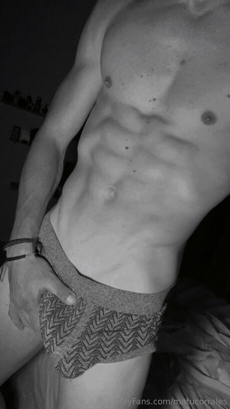 Matucorrales star nice gallery