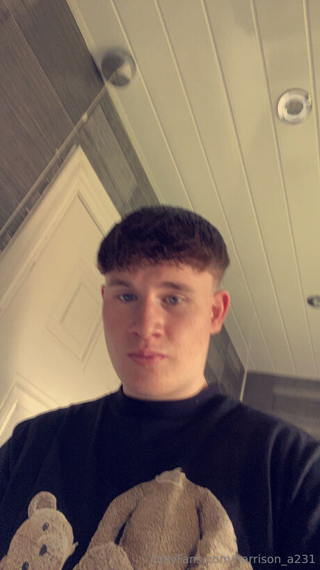 Harrison A231 star porn pic