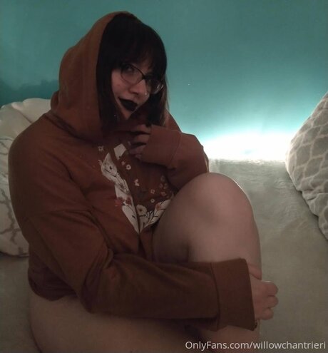 Willowchantrieri star xxx pictures