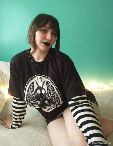 Willowchantrieri star high quality pic