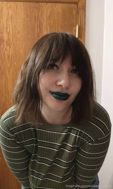 Willowchantrieri pornstar perfect archive