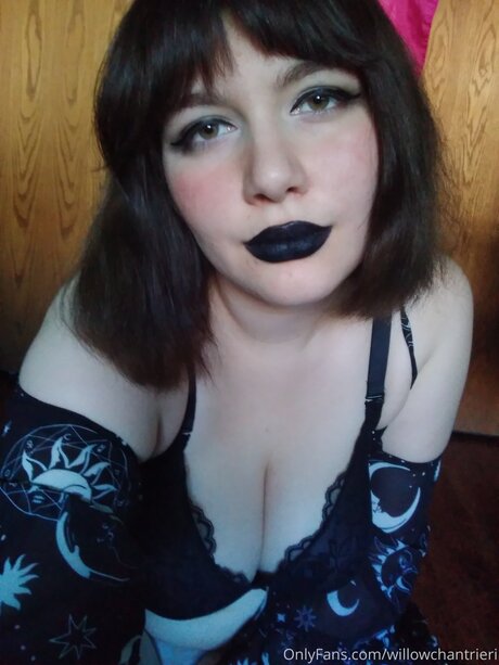 Willowchantrieri nice model img
