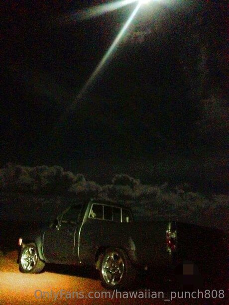 Hawaiian Punch808 high quality model img