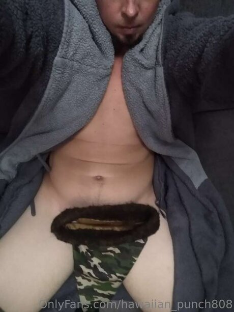 Hawaiian Punch808 model pic