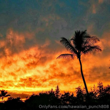 Hawaiian Punch808 perfect pornstar archive