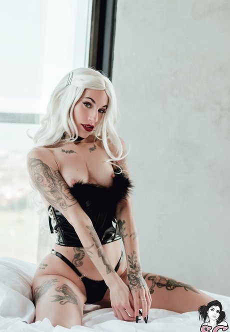 Kadito SG erotic pornstar archive