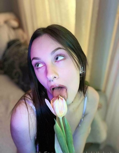 novaseren porn actress image