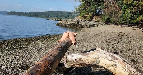 Athena Demos adult star image