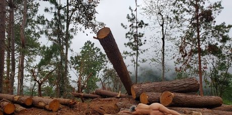 Athena Demos beautiful model galleries