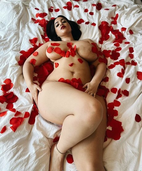 Zina Hadid porn star gallery