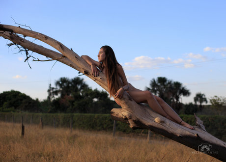 Luiz Luizavsm star nudes pic