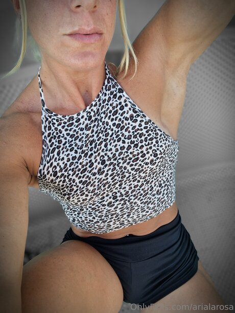 Arialarosa star art pics