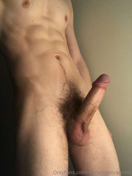 Melancholyadonis star art galleries