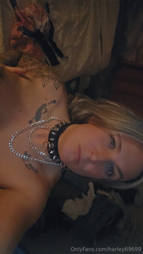 Harley69699 star best gallery