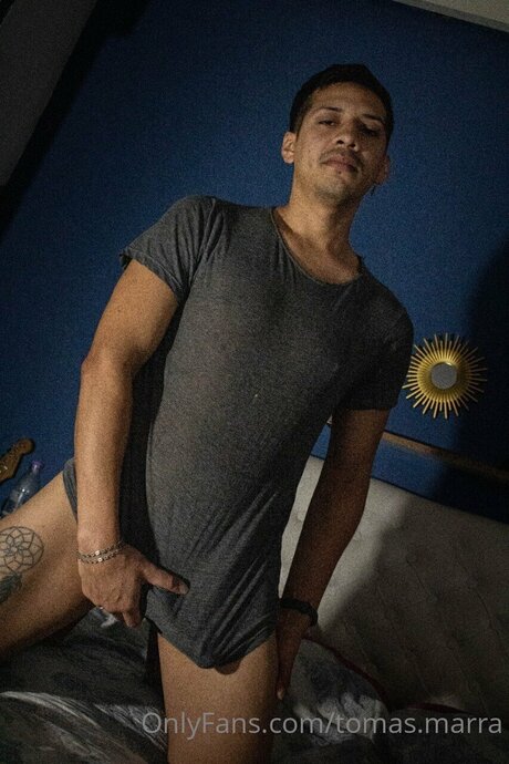 Tomasmarra2022 model free img