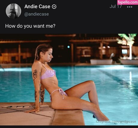 And1e C4se model free archive