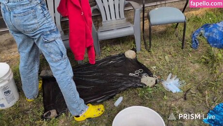 Rayactions erotic pornstar picture